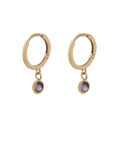 گوشواره کریستال میو گلد Mio Gold کد E645