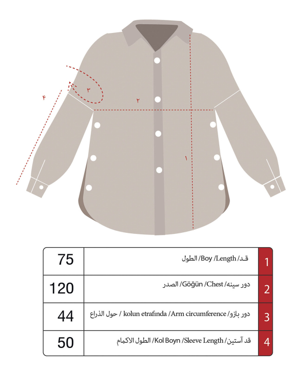 شومیز زنانه طاقه چیان Taghechian کد 1882