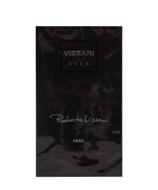 ادوتویلت مردانه روبرتو ویزاری Roberto Vizzari مدل Blue حجم 100 میلی لیتر