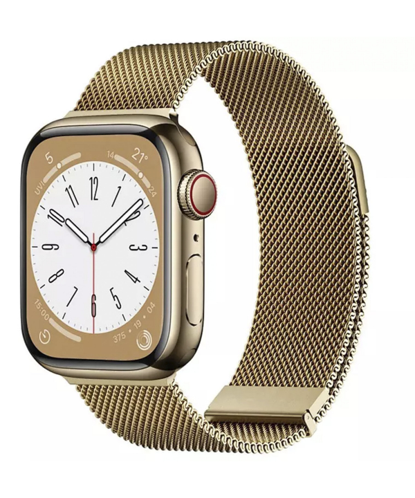 بند مگنتی فلزی اپل واچ 38، 40 و 41 میلی متری ویوو WIWU 38/40/41mm Braid magnetic watch band Wi-WB005