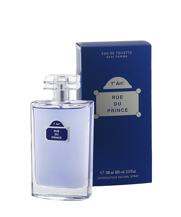 ادوتویلت مردانه دینا کازمتیکس Dina Cosmetics مدل Rue du Prince 