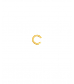 گوشواره طلا تک لنگه ای C پرسته Parasteh کد WE279