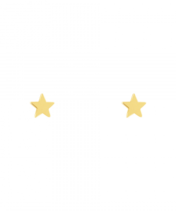 گوشواره طلا ستاره بزرگ پرسته Parasteh کد WE07