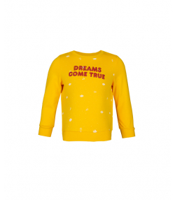تیشرت پسرانه پاییزه جین وست Jeanswest
