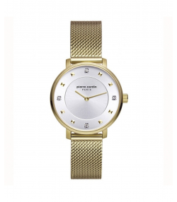 ساعت مچی عقربه ای زنانه پیرکاردین PierreCardin مدل PC902412F06