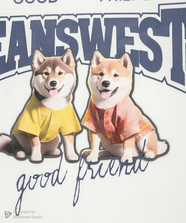 تیشرت پسرانه جین وست Jeanswest کد K41573503