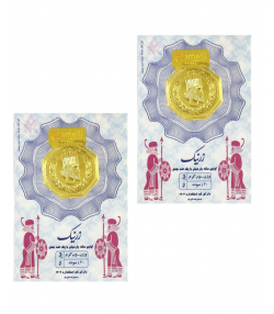 سکه گرمی طلا 18 عیار زر نیک گلد مدل 005 بسته 2 عددی