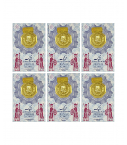سکه گرمی طلا 18 عیار زر نیک گلد مدل 005 بسته 6 عددی