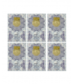 سکه گرمی طلا 18 عیار زر نیک گلد مدل 003 بسته 6 عددی