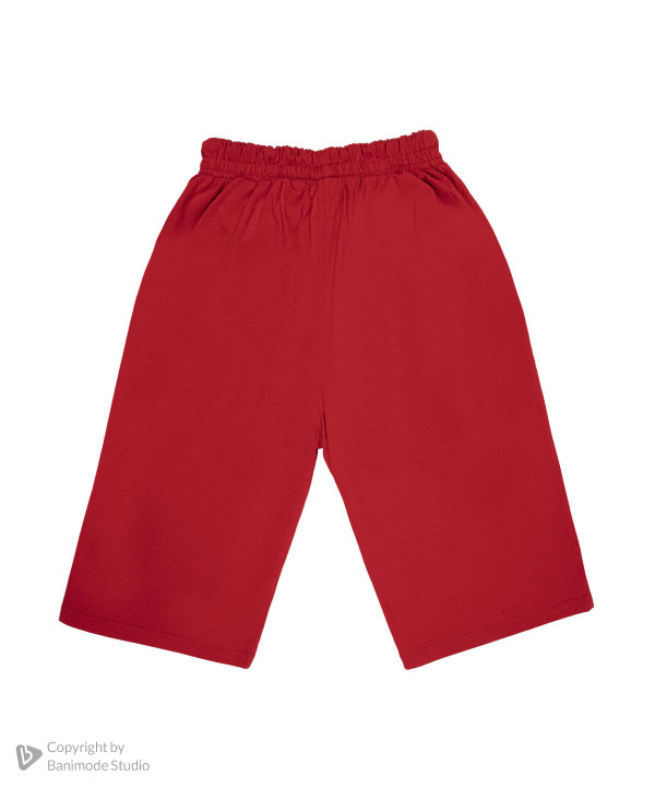 تیشرت و شلوارک یو اس پولو کیدز US Polo Kids کد 2613B4