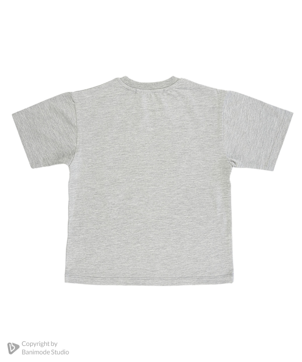 تیشرت یو اس پولو کیدز US Polo Kids کد 2322B1
