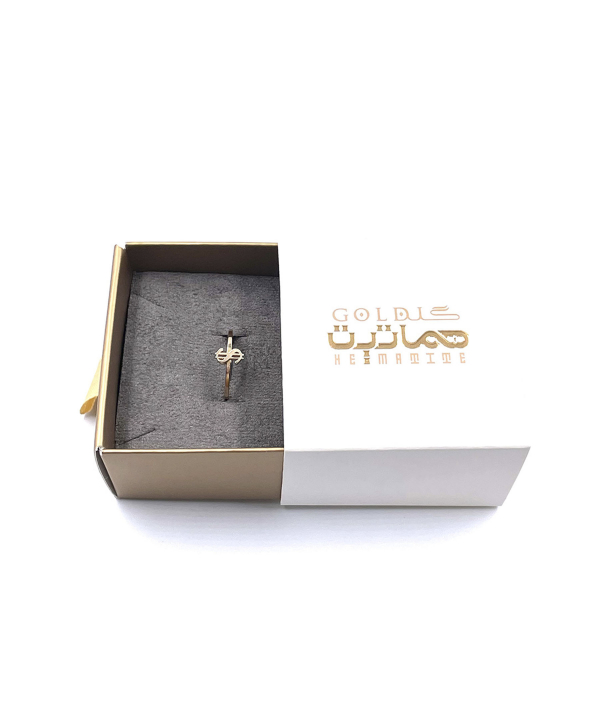 انگشتر مینیمال دلار هماتیت گلد Hematite Gold کد 131727