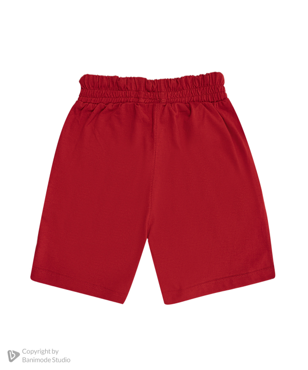 تیشرت و شلوارک یو اس پولو کیدز US Polo Kids کد 2613B3