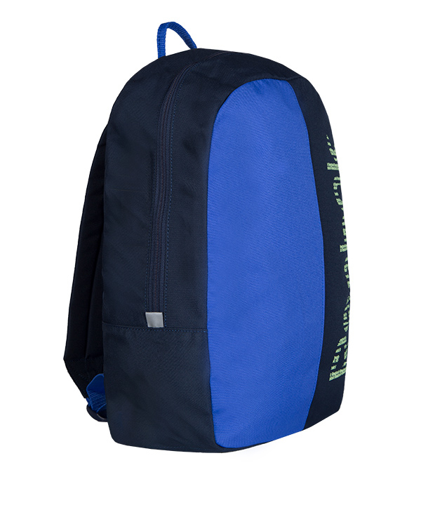 کوله پشتی اسپرت دو رنگ ریباک Reebok مدل CD6549
