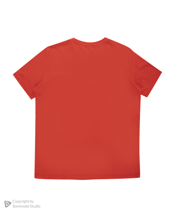 تیشرت پسرانه تیتیش Teeteesh کد 32483