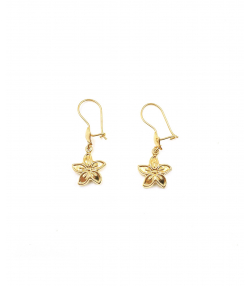 گوشواره کلیپسی گلی هماتیت گلد Hematite Gold کد 131642