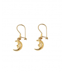 گوشواره ماه خندان هماتیت گلد Hematite Gold کد 131696