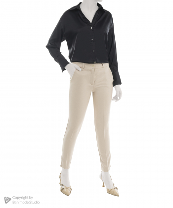 شومیز آستین بلند زنانه بلونیل مدل B10742N