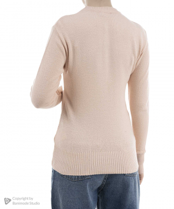 پلیور زنانه پیرکاردین مدل JA1019