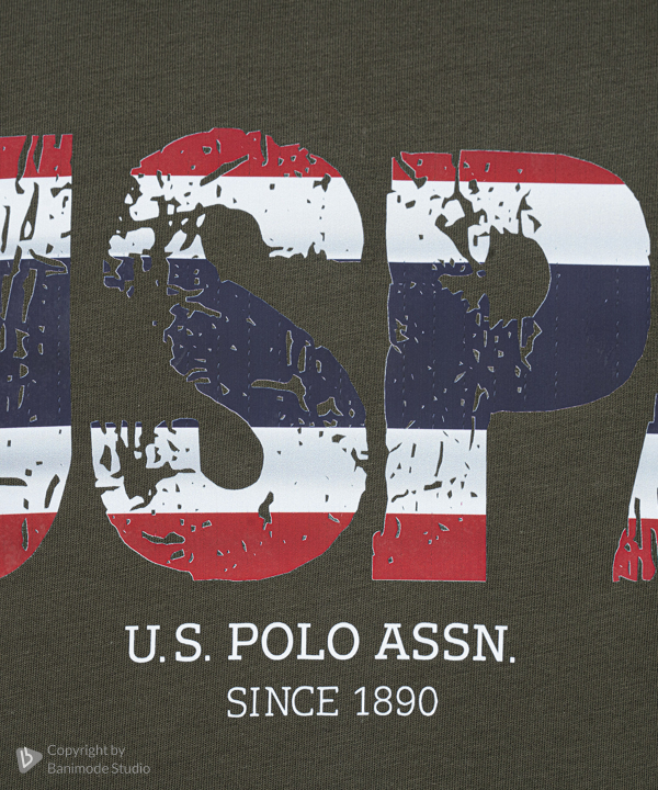 تیشرت مردانه یو اس پولو US Polo کد 1161A06