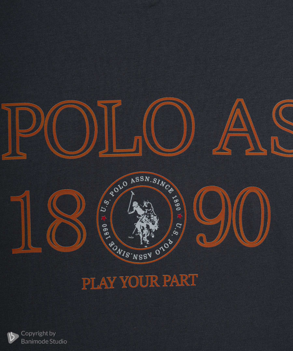 تیشرت مردانه یو اس پولو US Polo کد 1151A03