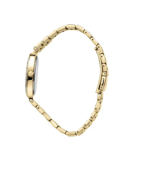ساعت مچی زنانه تروساردی Trussardi کد R2453145503