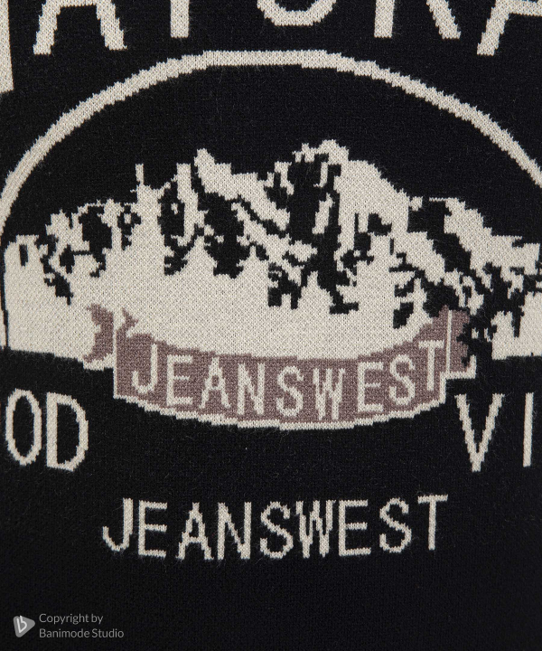 پلیور مردانه جین وست Jeanswest کد 33196501