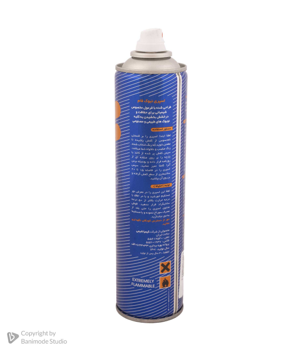 اسپری تمیز کننده جیر و نبوک فام برند پی لس Brand Payless کد مدل M1019