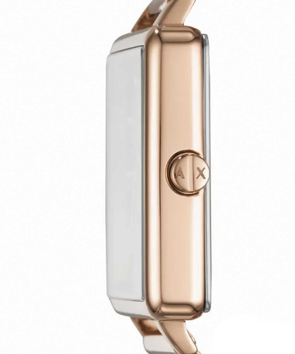 ساعت مچی زنانه آرمانی اکسچنج Armani Exchange مدل AX5802