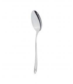 قاشق خورشت خوری ام جی اس MGS کد DF020