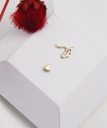 گوشواره حب کشیده و قلب کوچک درریس Doris کد P1955