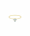 طلایی
