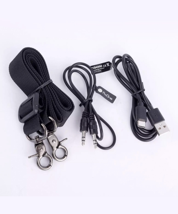 اسپیکر بلوتوثی قابل حمل پرووان PSB4990