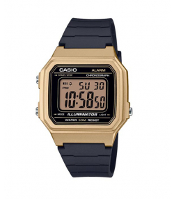 ساعت مچی دیجیتالی کاسیو Casio مدل W-217HM-9AVDF