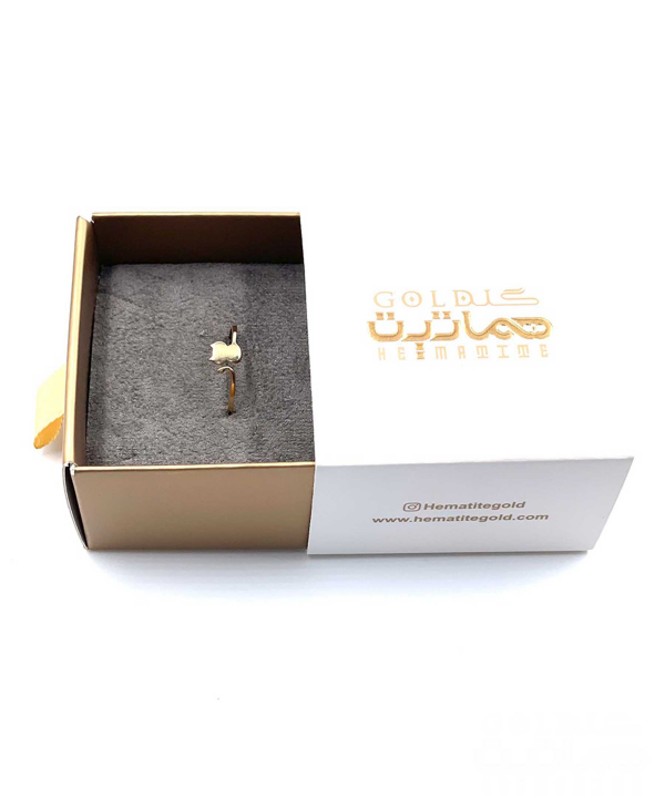 انگشتر مینیمال گربه هماتیت گلد Hematite Gold کد 132277