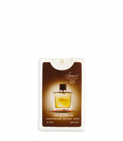 عطر جیبی مردانه اسمارت کالکشن Smart Collection مدل Terre d Hermes حجم 20 میلی لیتر