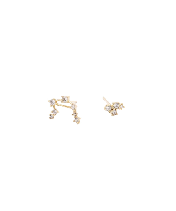 گوشواره صورت فلکی مهر دفینه Dafineh کد EJ1130