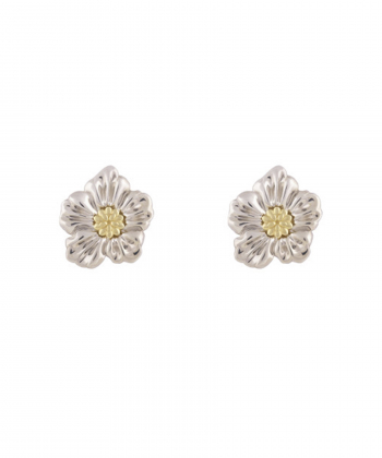 گوشواره بنفشه آفریقایی درریس Doris کد P1200