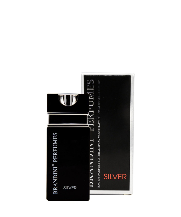 عطر جیبی مردانه برندینی Brandini مدل Silver حجم 25 میلی‌لیتر