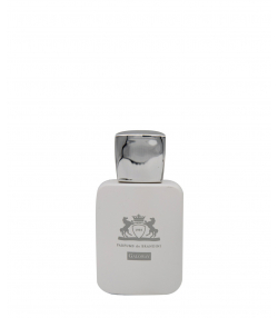 عطر جیبی برندینی Brandini مدل Galoway حجم 25 میلی لیتر