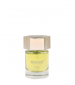 عطر جیبی مردانه برندینی Brandini مدل Y Day For Men حجم 25 میلی لیتر