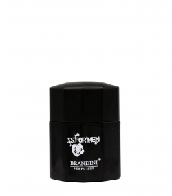 عطر جیبی مردانه برندینی Brandini مدل XS For Men حجم 25 میلی لیتر