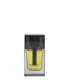 عطر جیبی مردانه برندینی Brandini مدل IntenseMen حجم 25 میلی لیتر