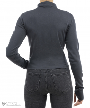 بلوز زنانه جامه پوش آرا JPA کد 4562062083