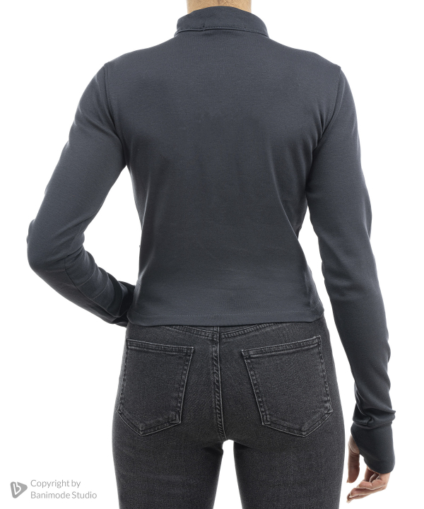 تیشرت آستین بلند زنانه جامه پوش آرا مدل 4562062083