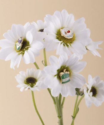 گوشواره تک لنگه سنبل درریس Doris کد P3268