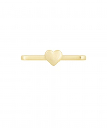 آویز Apple Watch قلب توپر متصل درریس Doris کد P3749