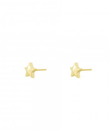 گوشواره میخی ستاره چند وجهی سه بعدی درریس Doris کد P3589