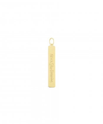 آویز تک مستطیل عمودی با حکاکی درریس Doris کد P4489