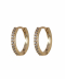 طلایی
